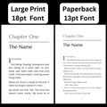 Blood Money (The Daughter of a Drunk Book 3) Large Print