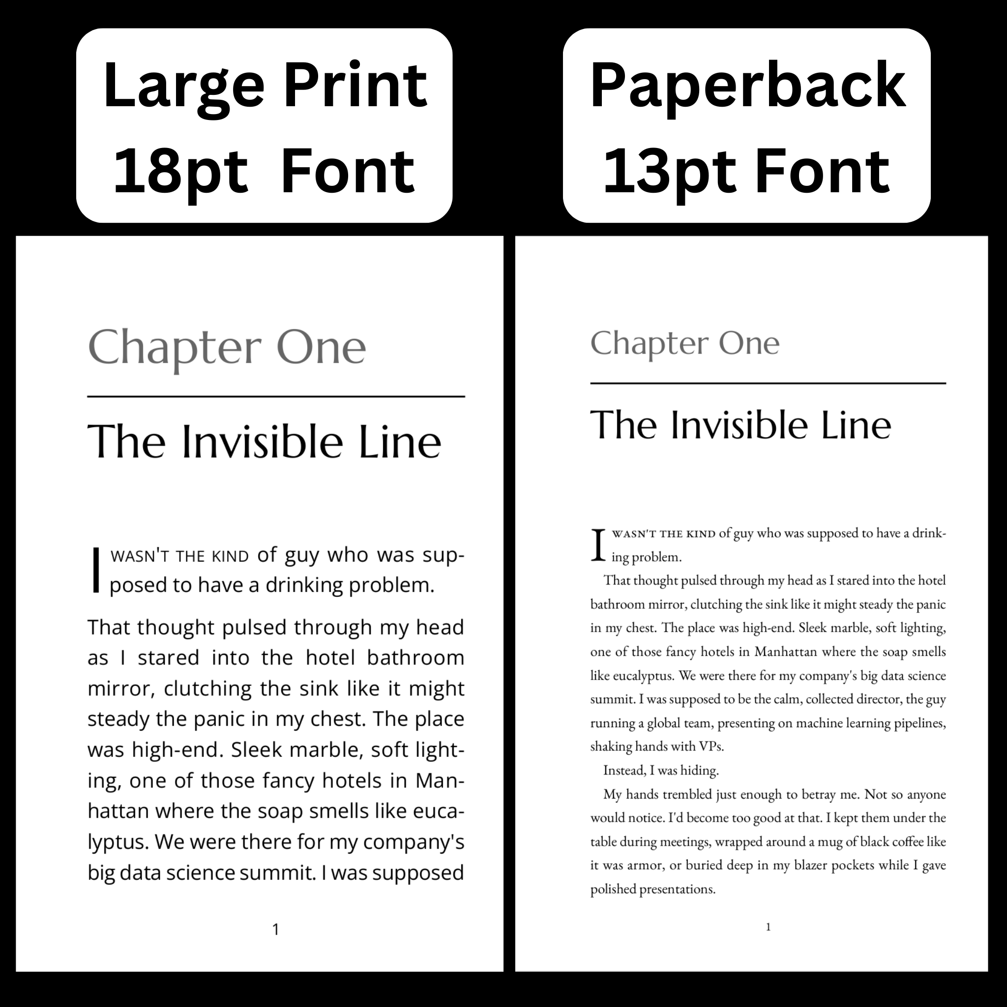 The Double Life of a High-Functioning Alcoholic Paperback